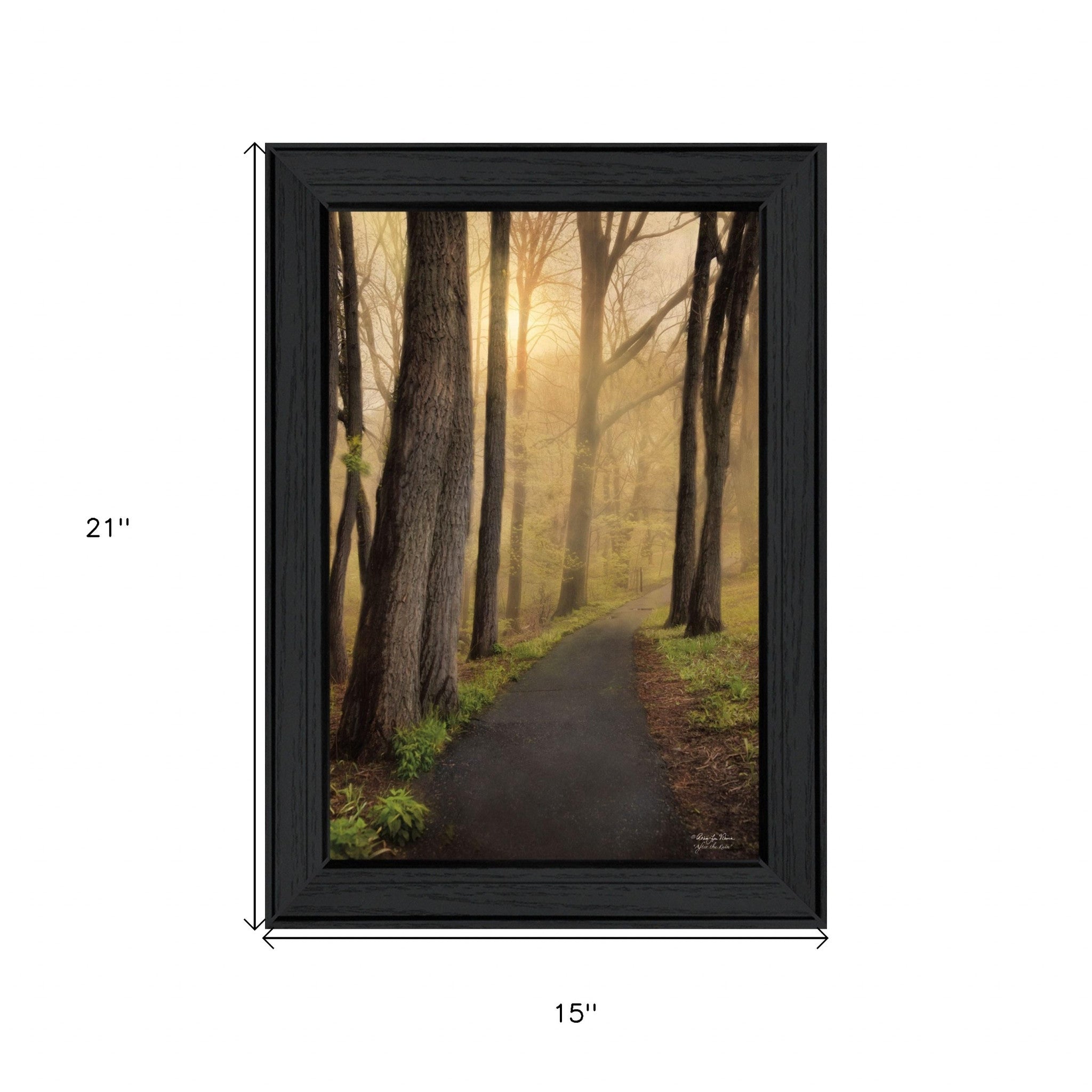 After The Rain Black Framed Print Wall Art