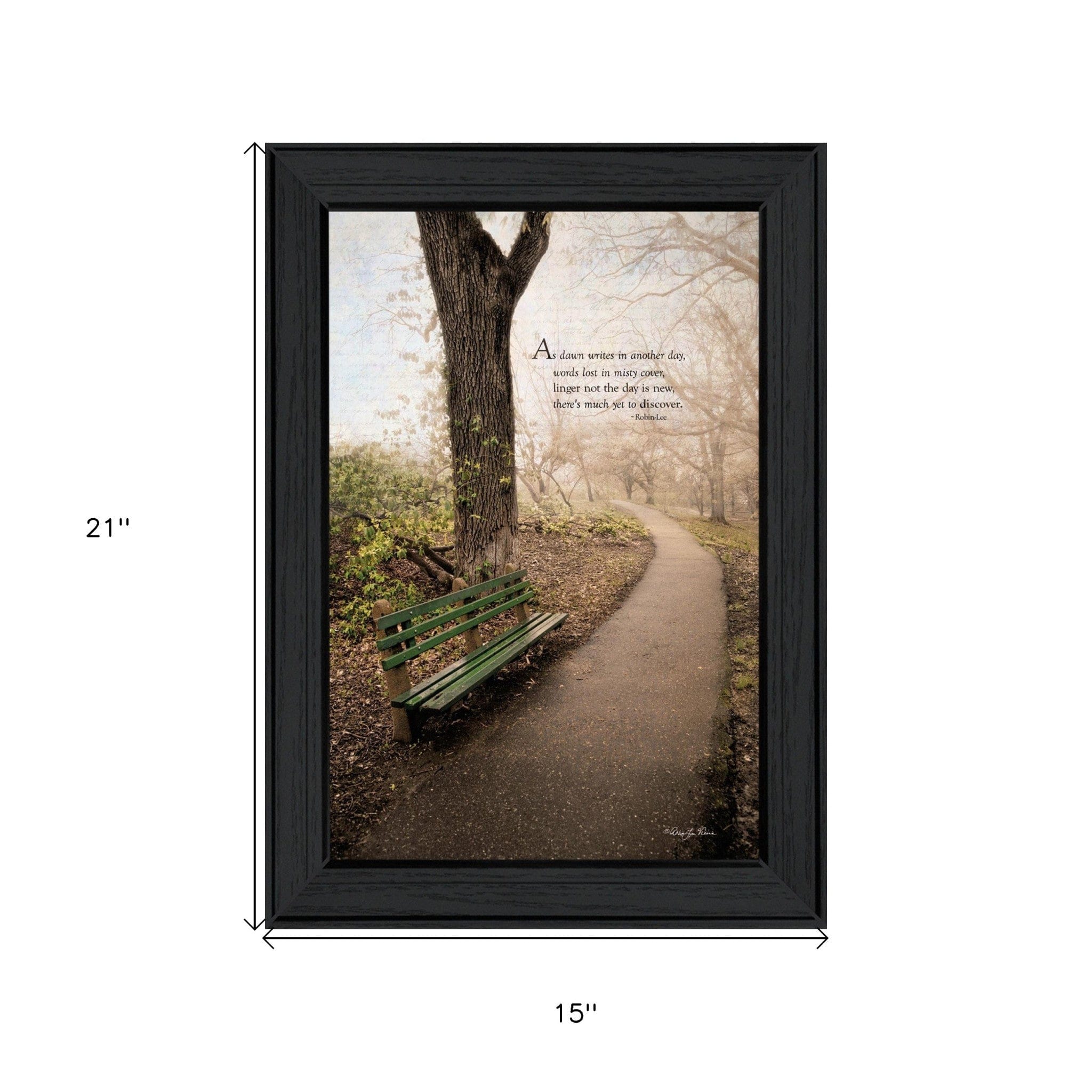 Through the Mist Black Framed Print Wall Art - Homeroots