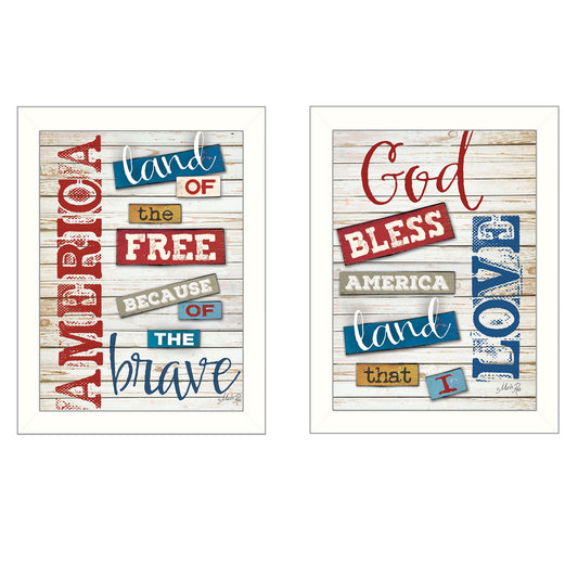 Set Of Two American 3 White Framed Print Wall Art