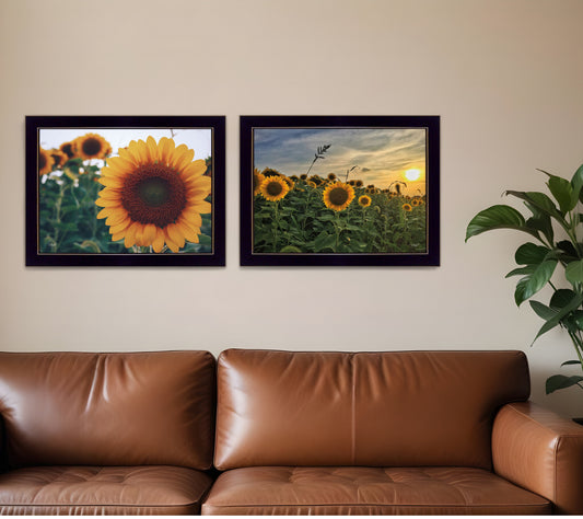 Set Of Two Midwest Living 4 Black Framed Print Wall Art