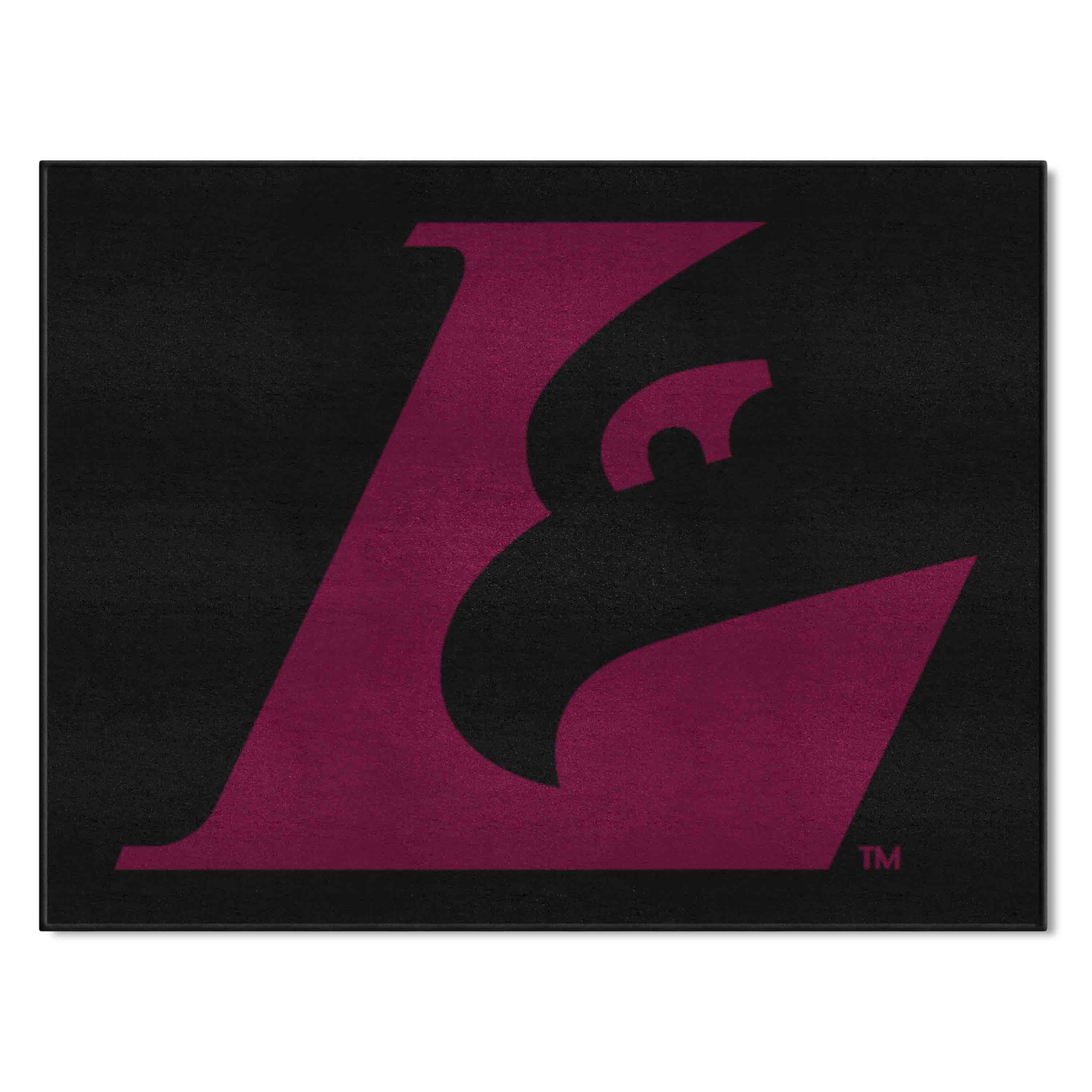 Wisconsin-La Crosse Eagles All-Star Rug - 34 in. x 42.5 in.