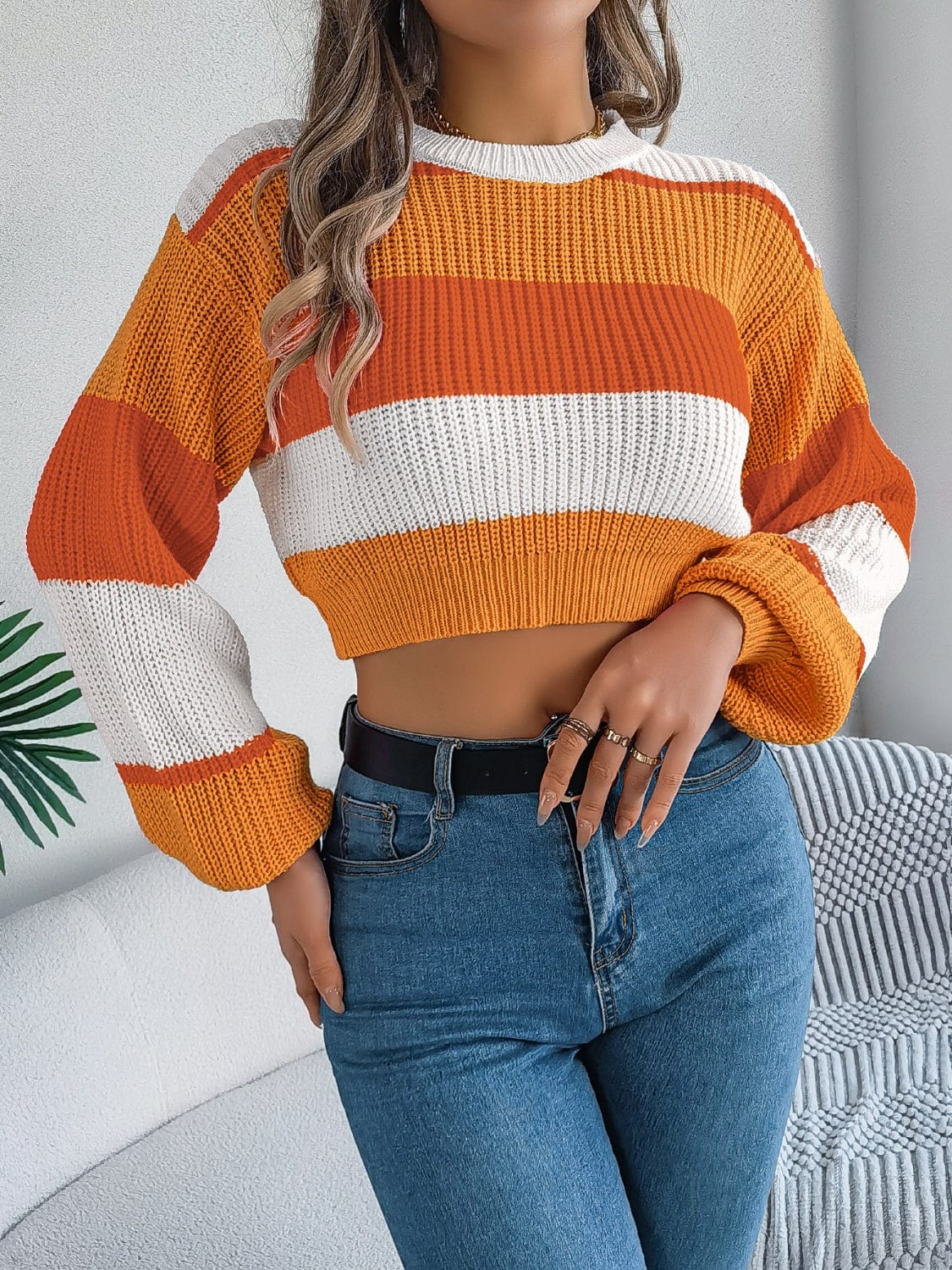 Color Block Round Neck Cropped Sweater - Trendsi