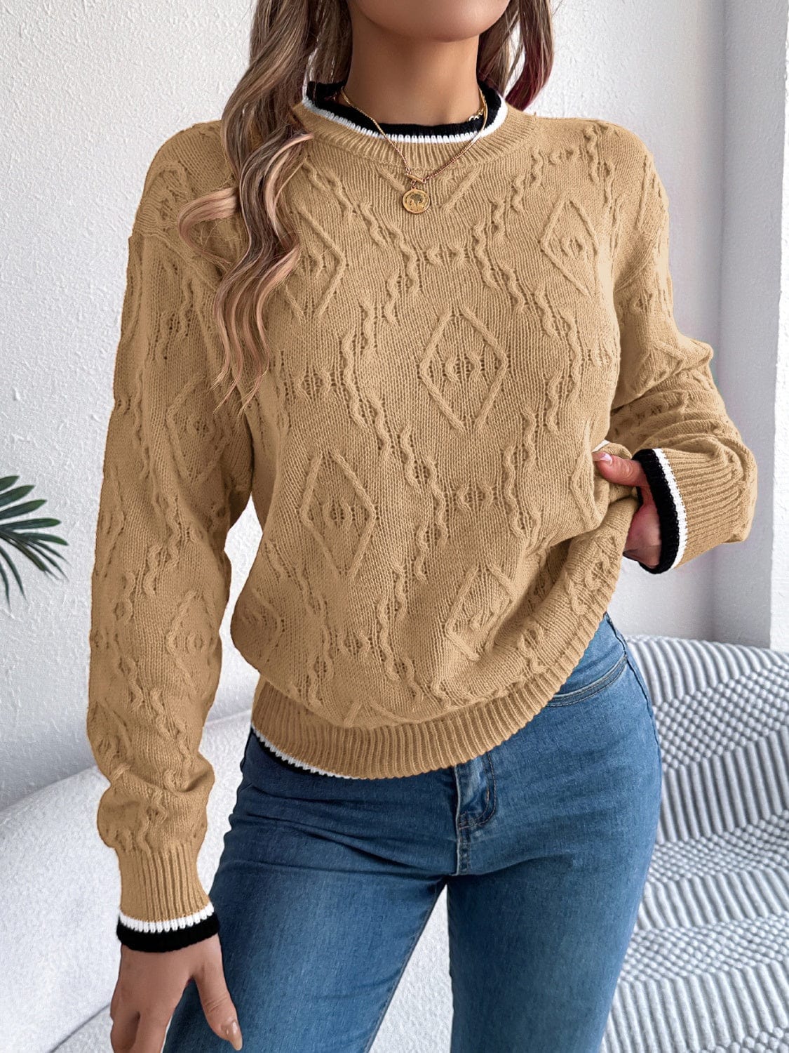 Contrast Trim Round Neck Long Sleeve Sweater - Trendsi