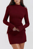 Mock Neck Long Sleeve Mini Dress - Trendsi