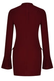 Mock Neck Long Sleeve Mini Dress - Trendsi