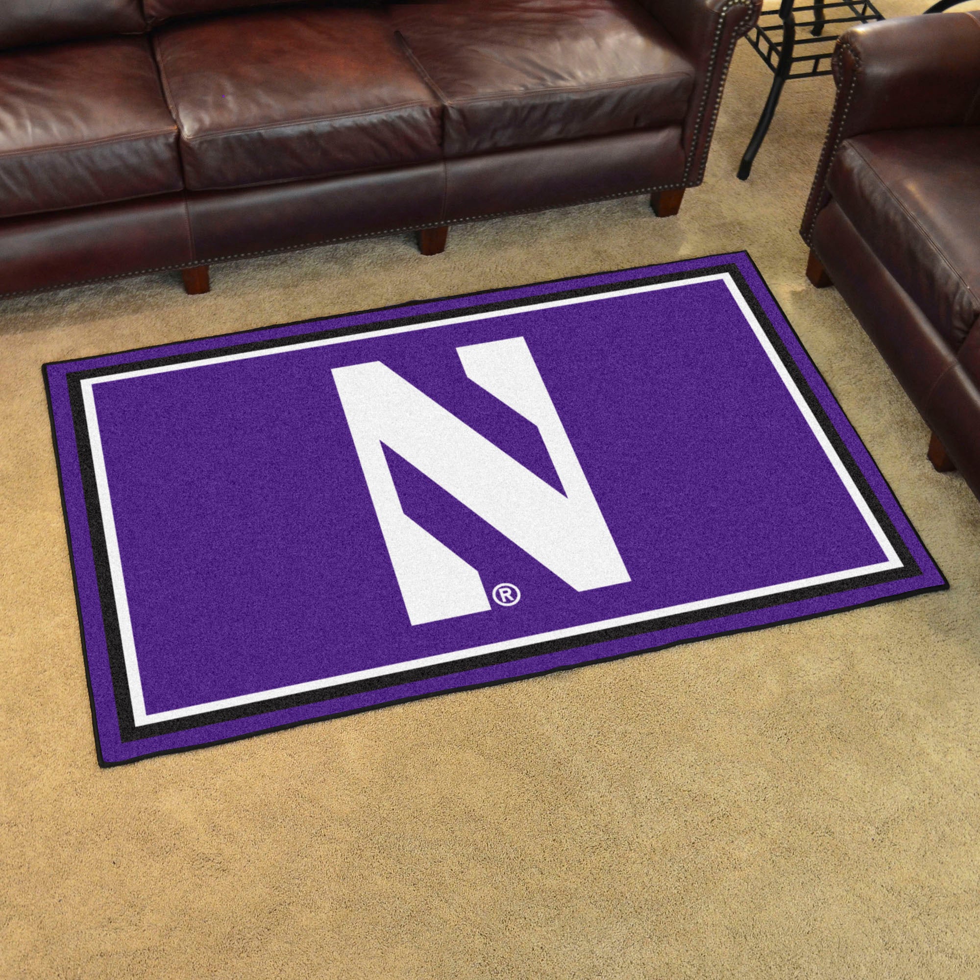 Northwestern Wildcats 4ft. x 6ft. Plush Area Rug