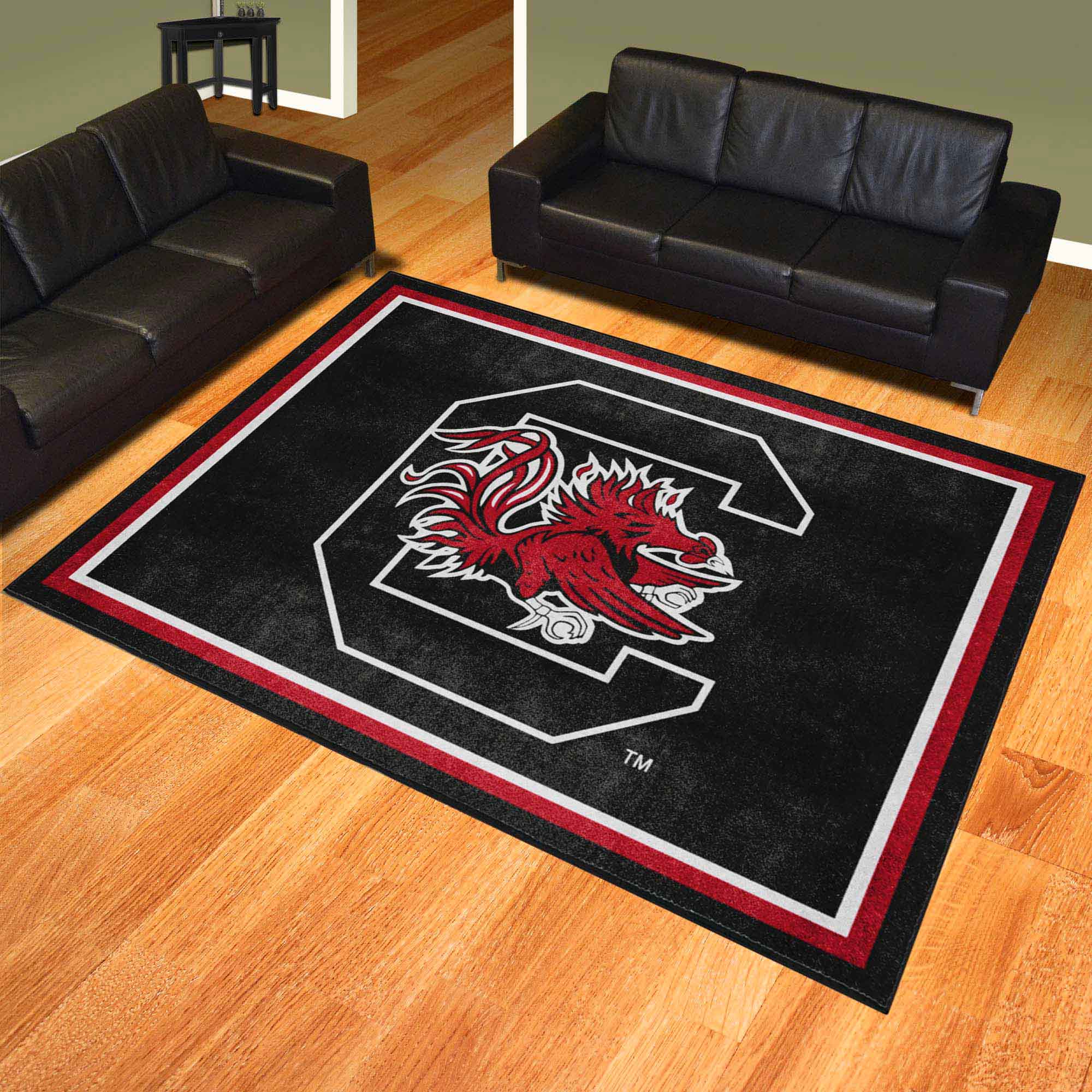 South Carolina Gamecocks 8ft. x 10 ft. Plush Area Rug