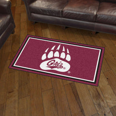 Montana Grizzlies 3ft. x 5ft. Plush Area Rug