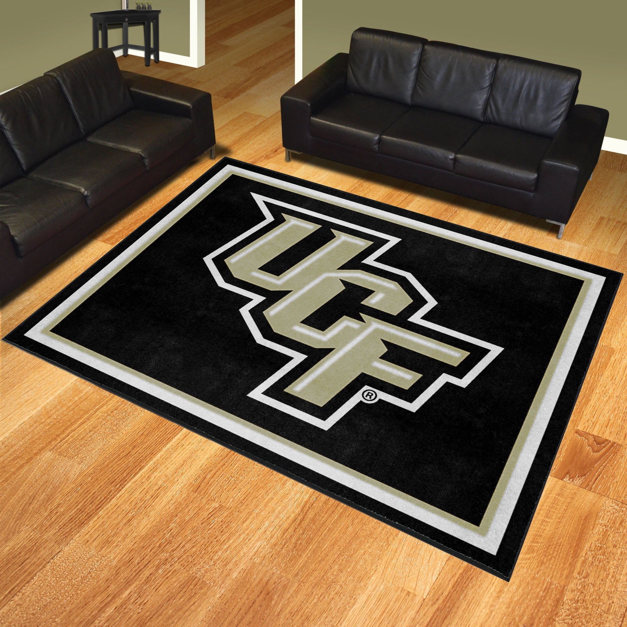 Central Florida Knights 8ft. x 10 ft. Plush Area Rug - Central Florida