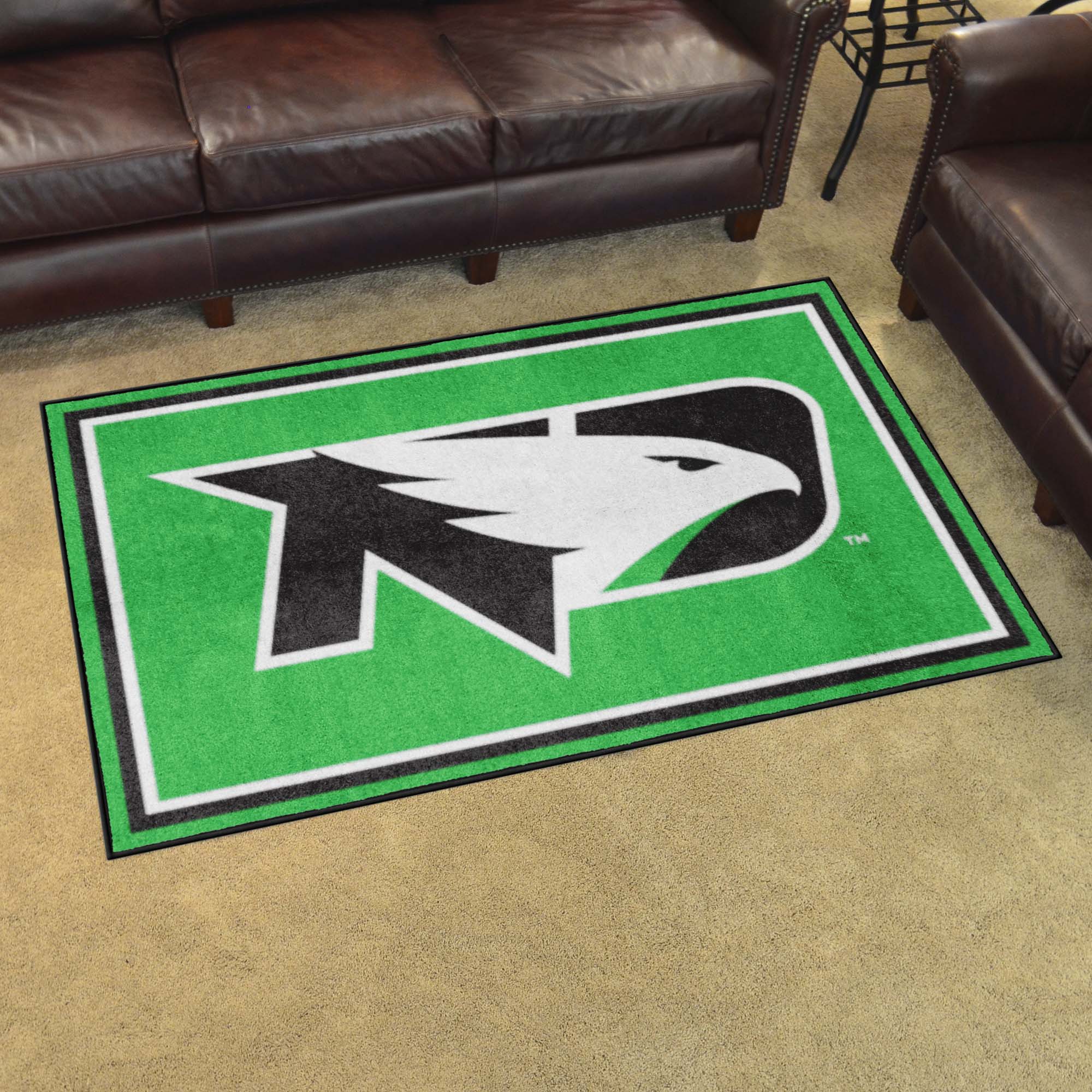 North Dakota Fighting Hawks 4ft. x 6ft. Plush Area Rug