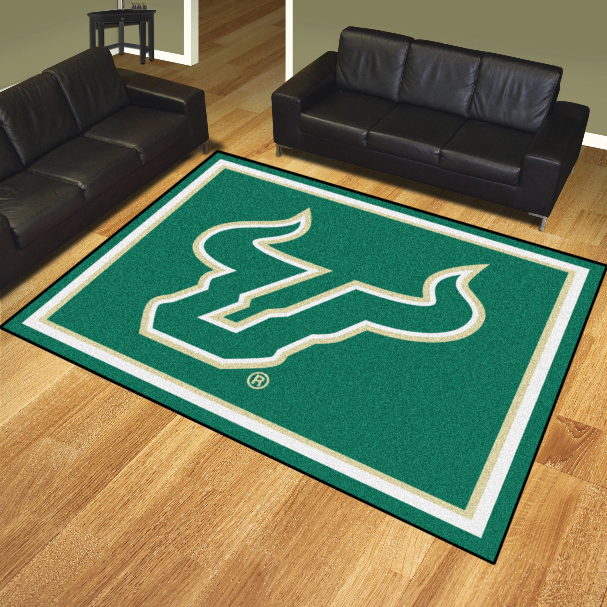 South Florida Bulls 8ft. x 10 ft. Plush Area Rug