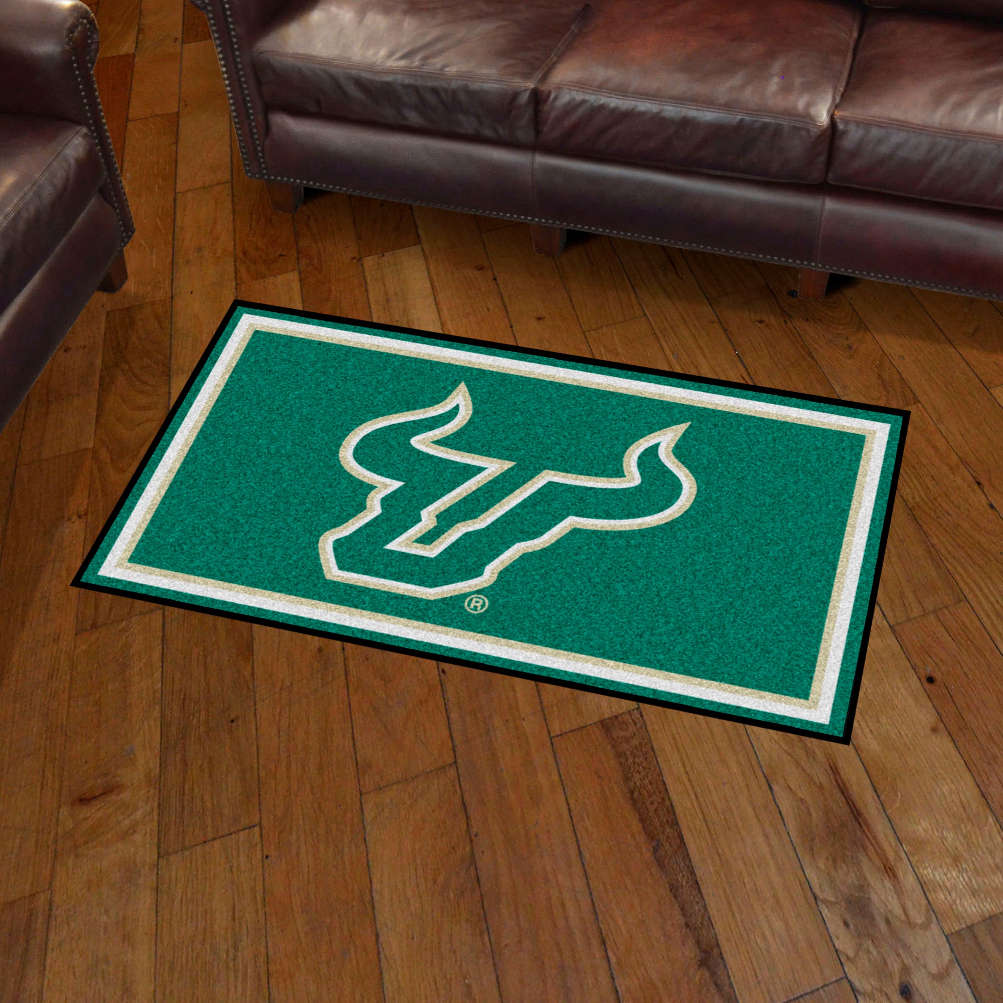 South Florida Bulls 3ft. x 5ft. Plush Area Rug