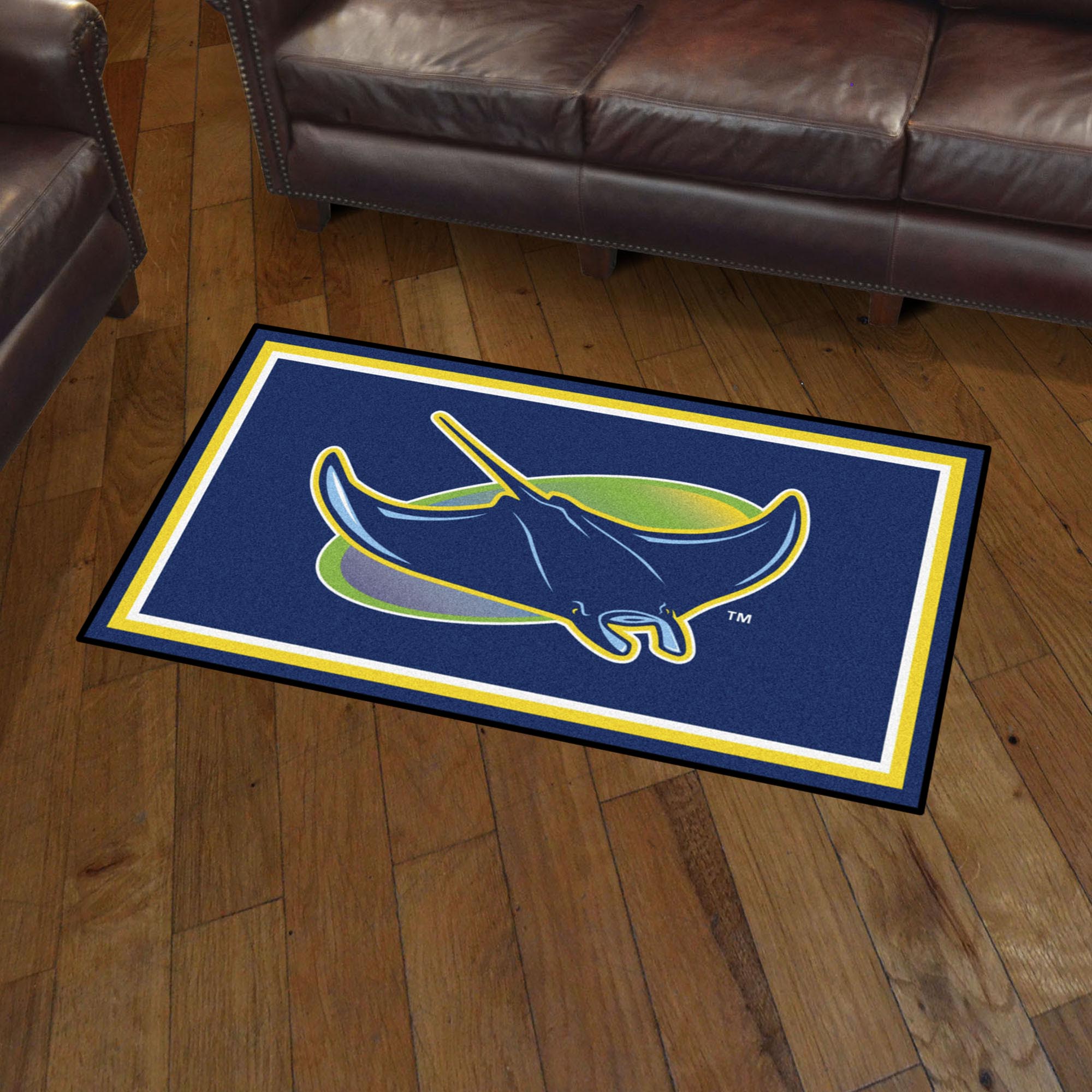 Tampa Bay Rays 3ft. x 5ft. Plush Area Rug