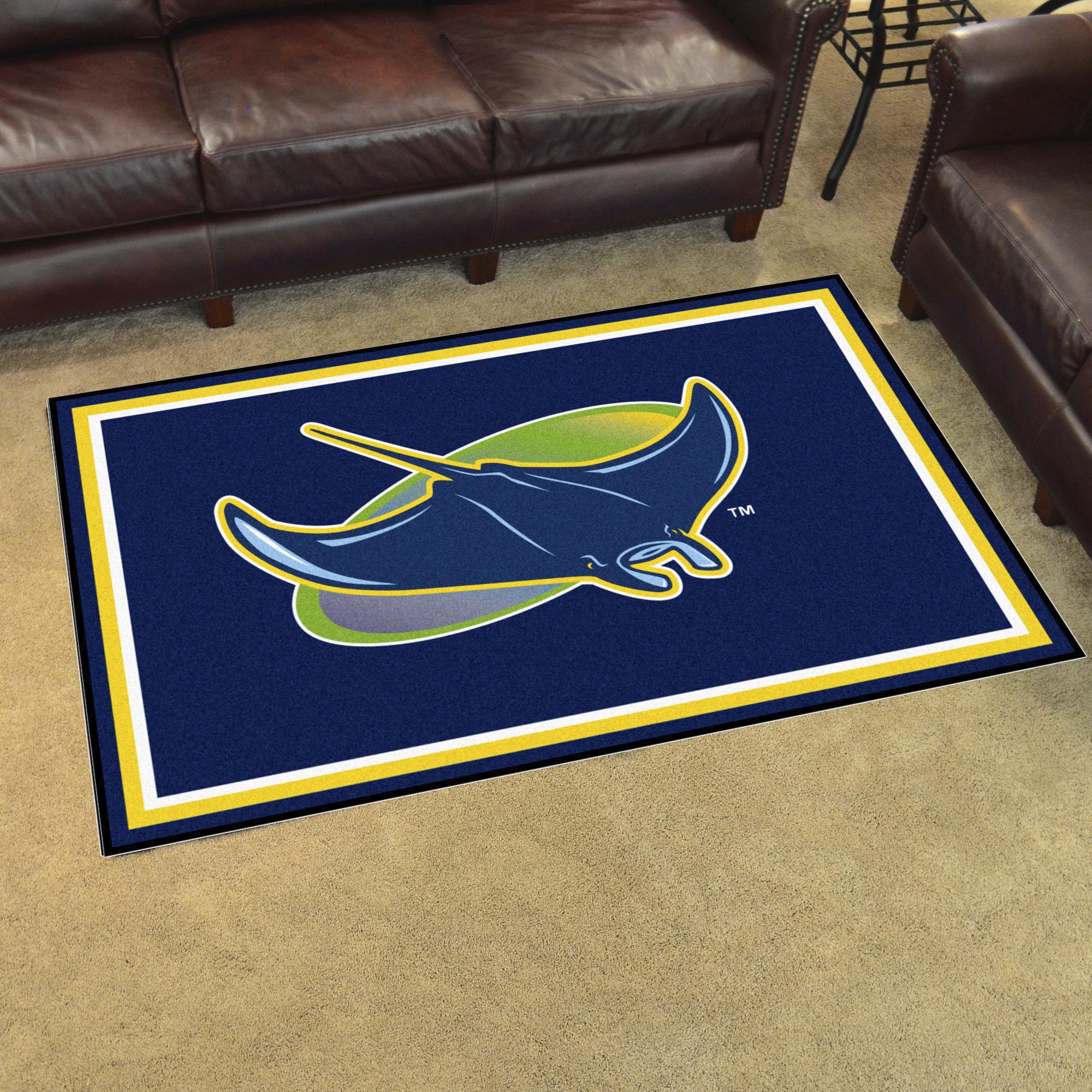 Tampa Bay Rays 4ft. x 6ft. Plush Area Rug