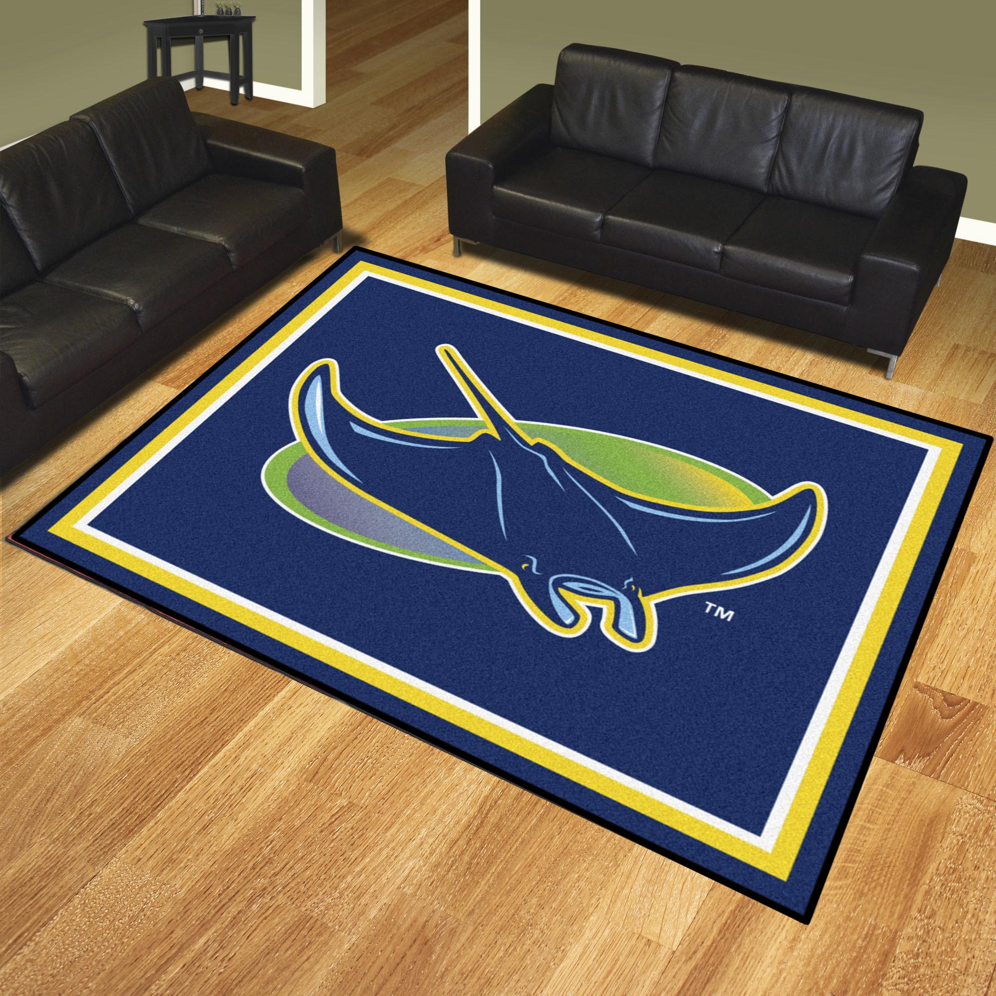 Tampa Bay Rays 8ft. x 10 ft. Plush Area Rug