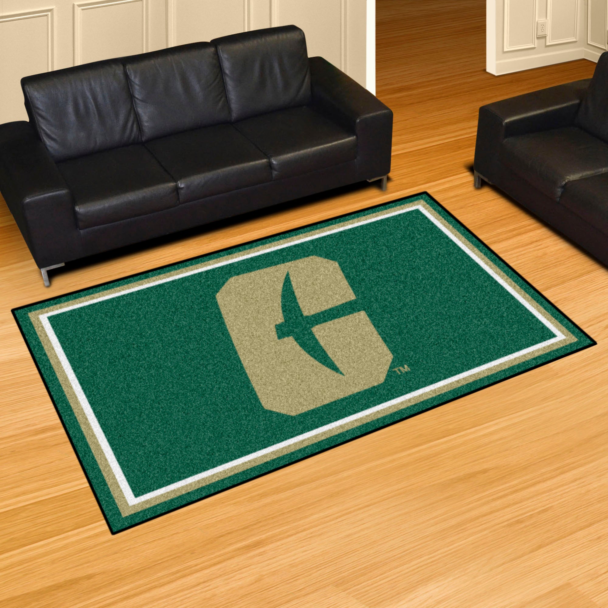 Charlotte 49ers 4ft. x 6ft. Plush Area Rug - Charlotte