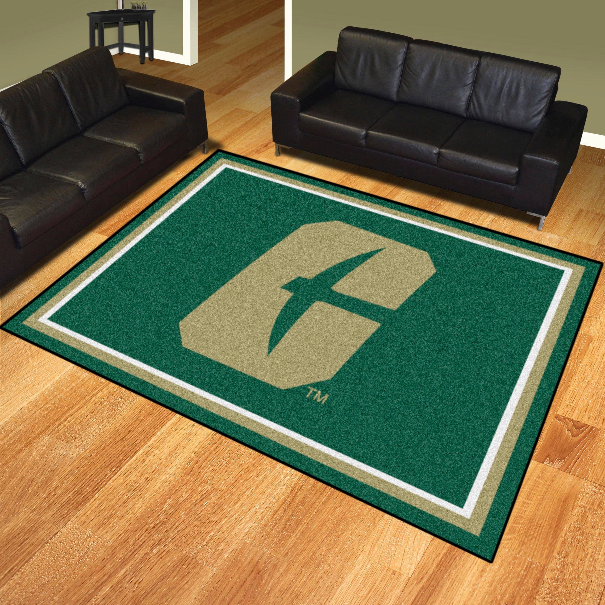 Charlotte 49ers 8ft. x 10 ft. Plush Area Rug