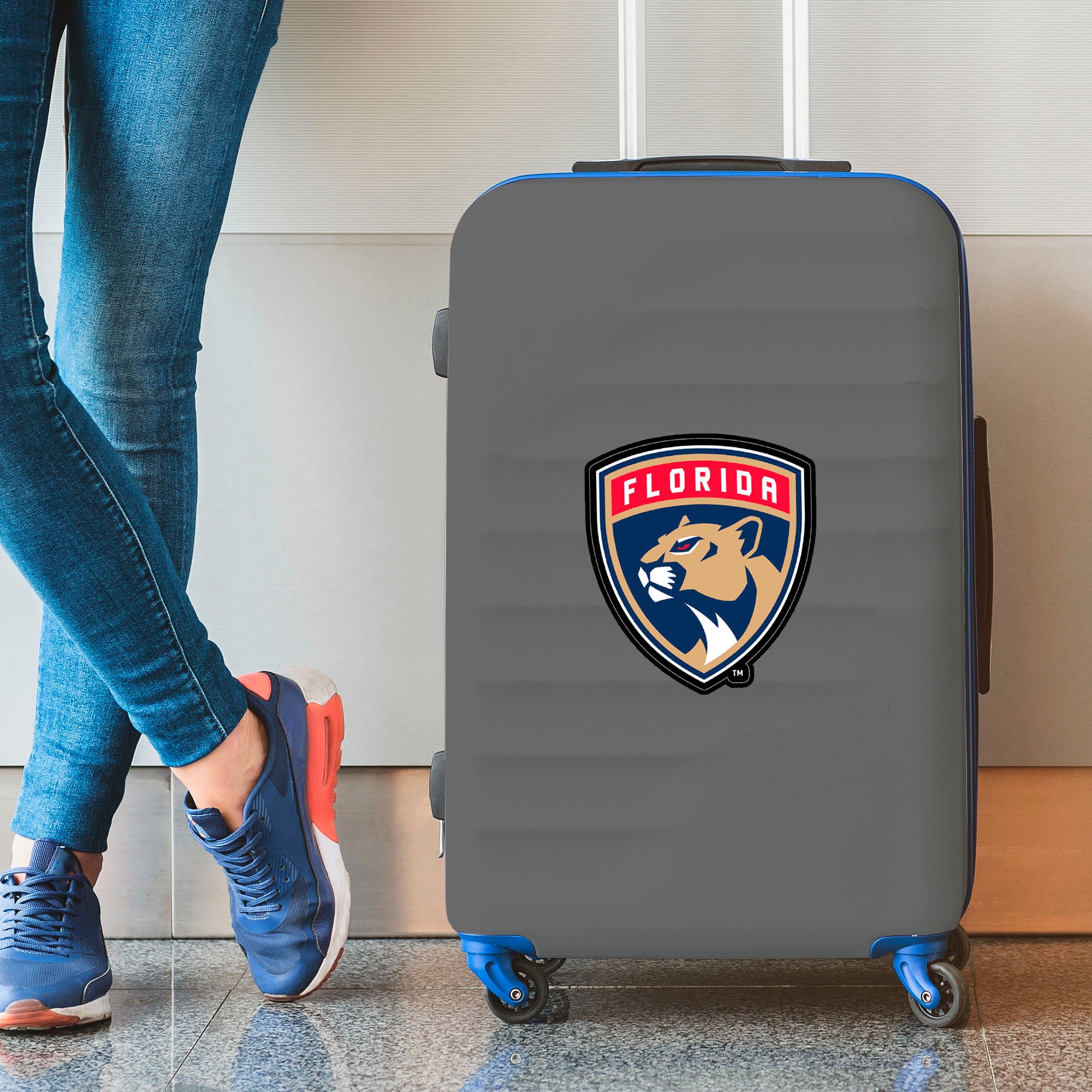 Florida Panthers Large Decal Sticker