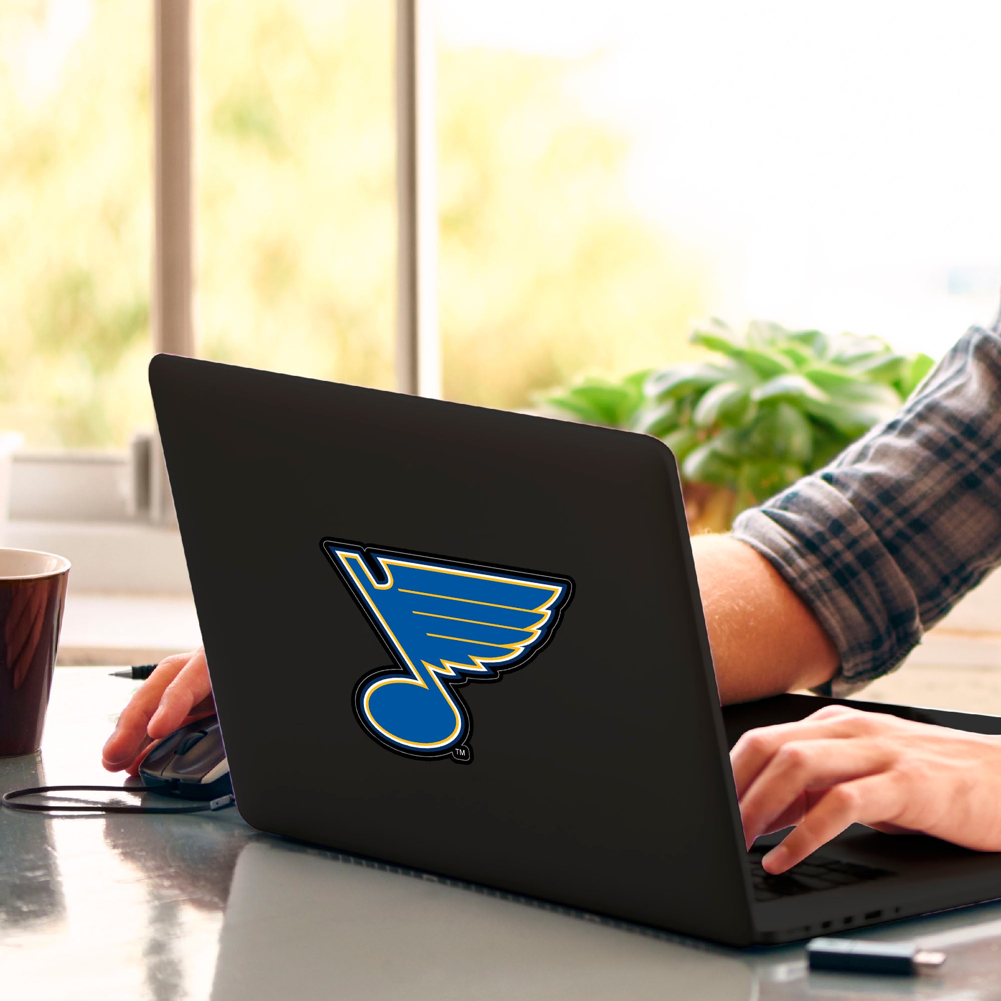 St. Louis Blues Matte Decal Sticker