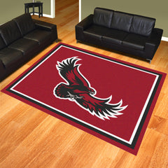 St. Joseph's Red Storm 8ft. x 10 ft. Plush Area Rug