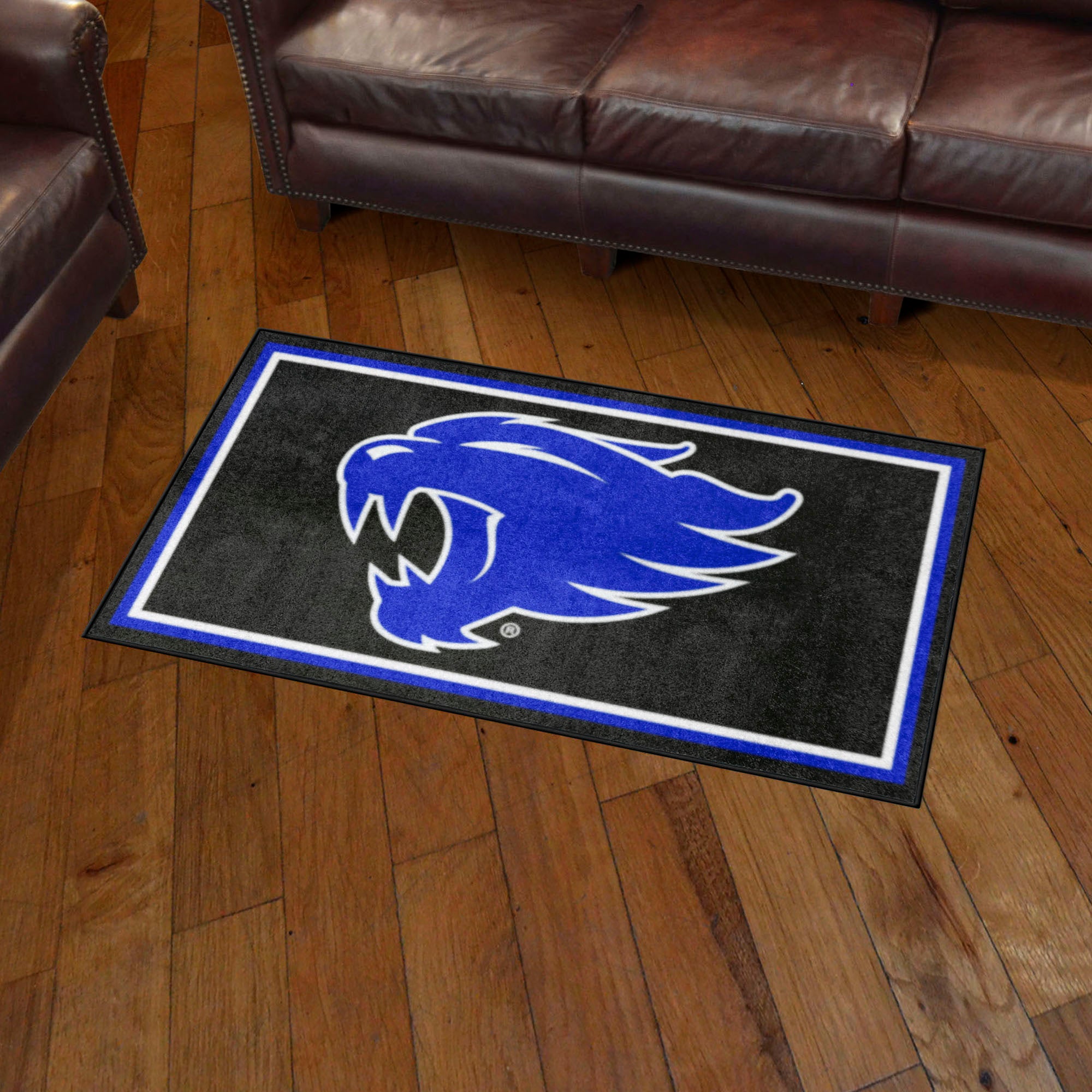 Kentucky Wildcats 3ft. x 5ft. Plush Area Rug