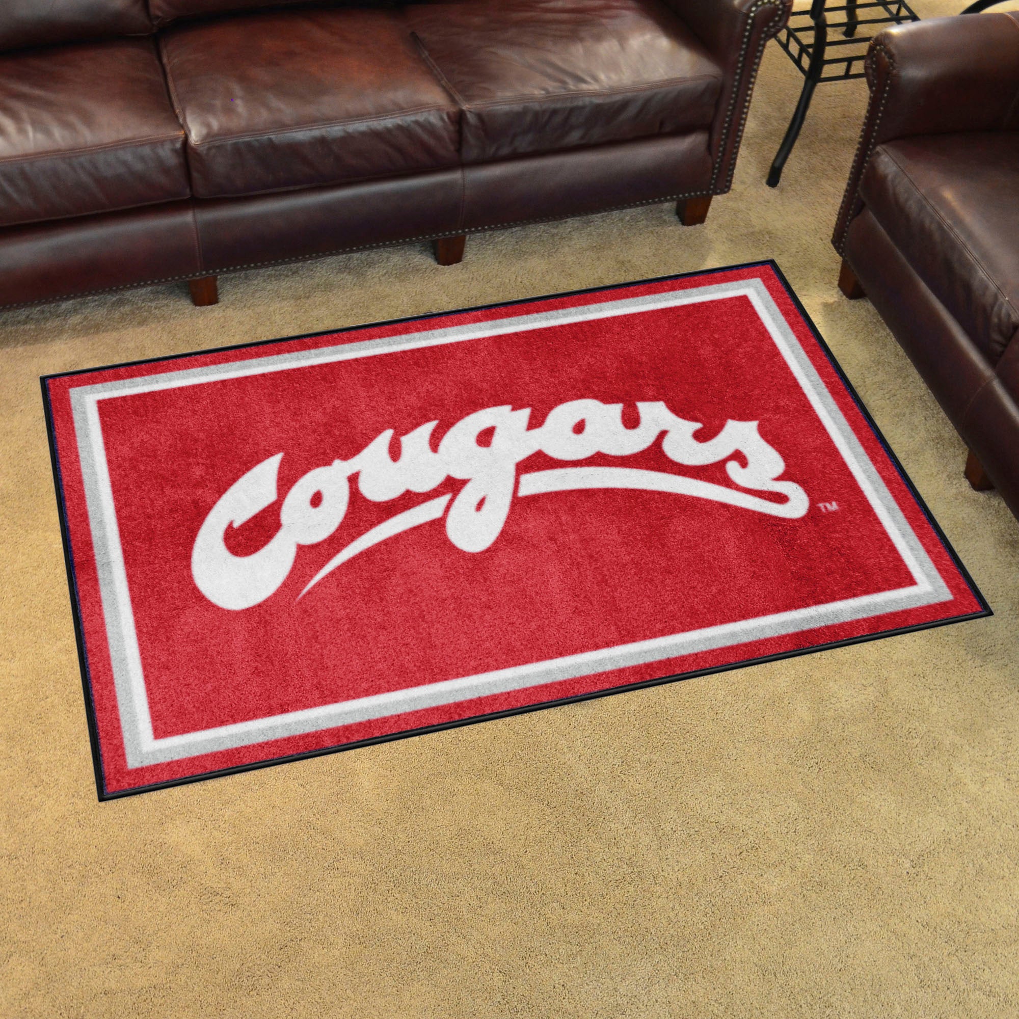 Washington State Cougars 4ft. x 6ft. Plush Area Rug