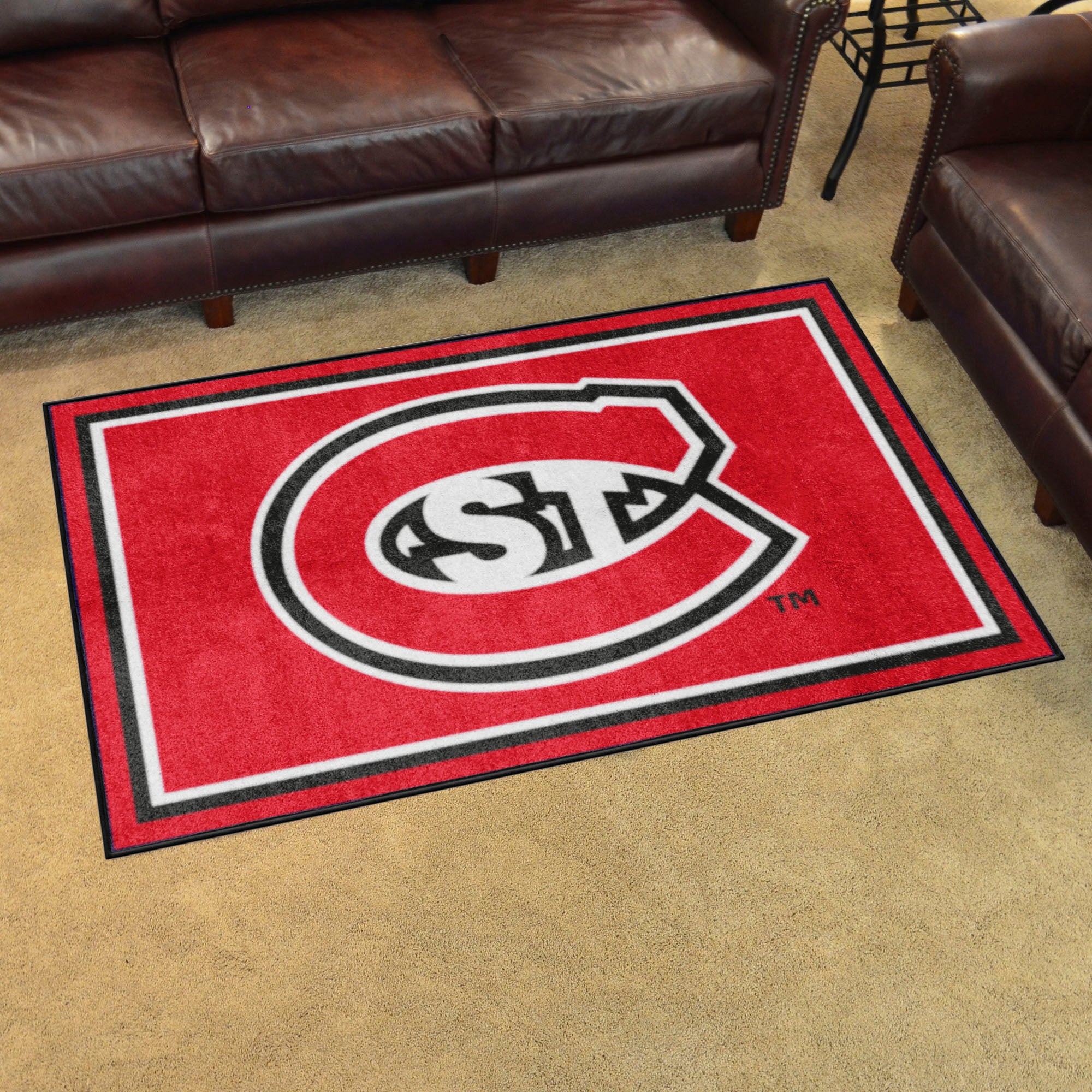 St. Cloud State Huskies 4ft. x 6ft. Plush Area Rug