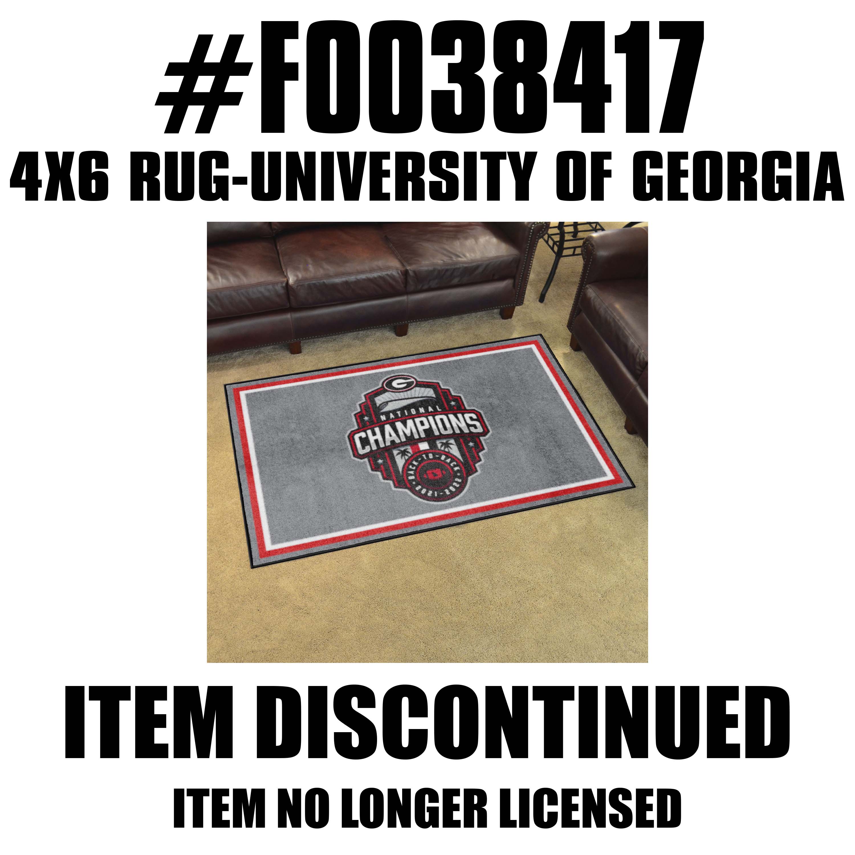 Georgia 2022-23 National Champions 4x6 Rug