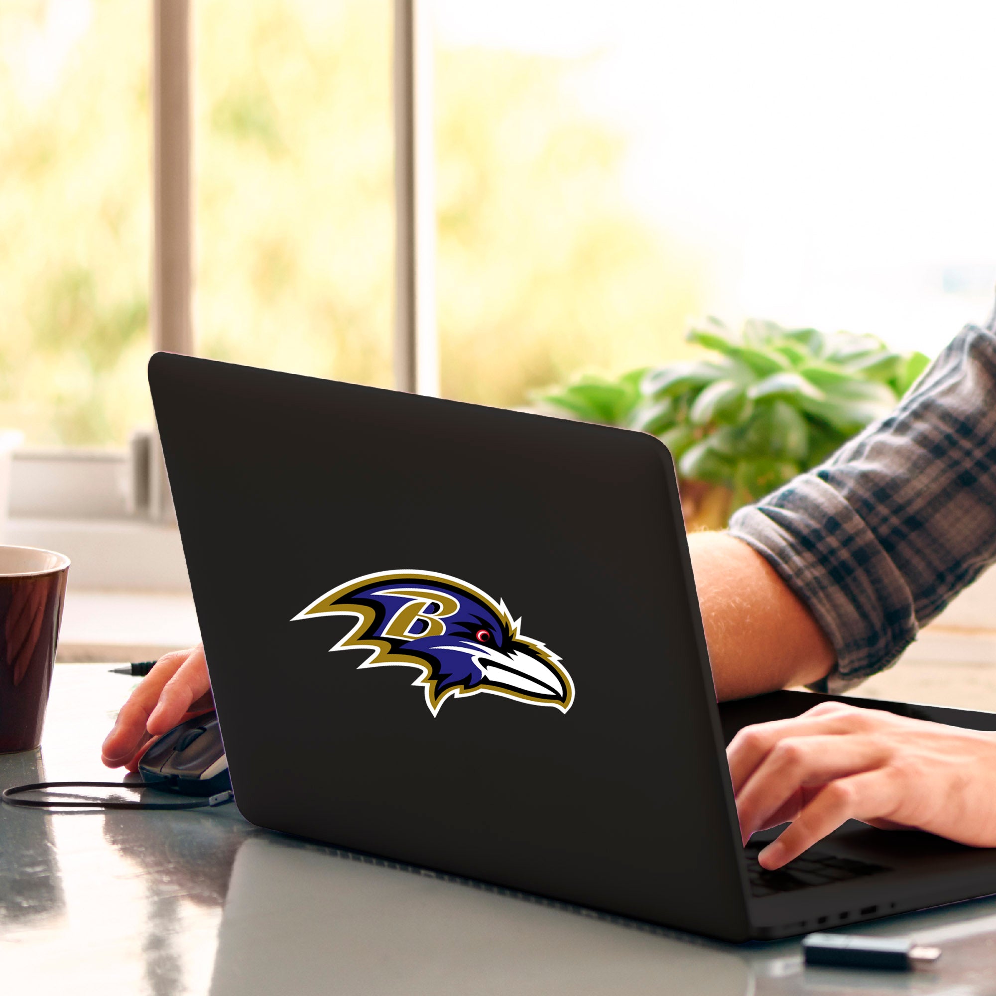 Baltimore Ravens Matte Decal Sticker - Baltimore Ravens