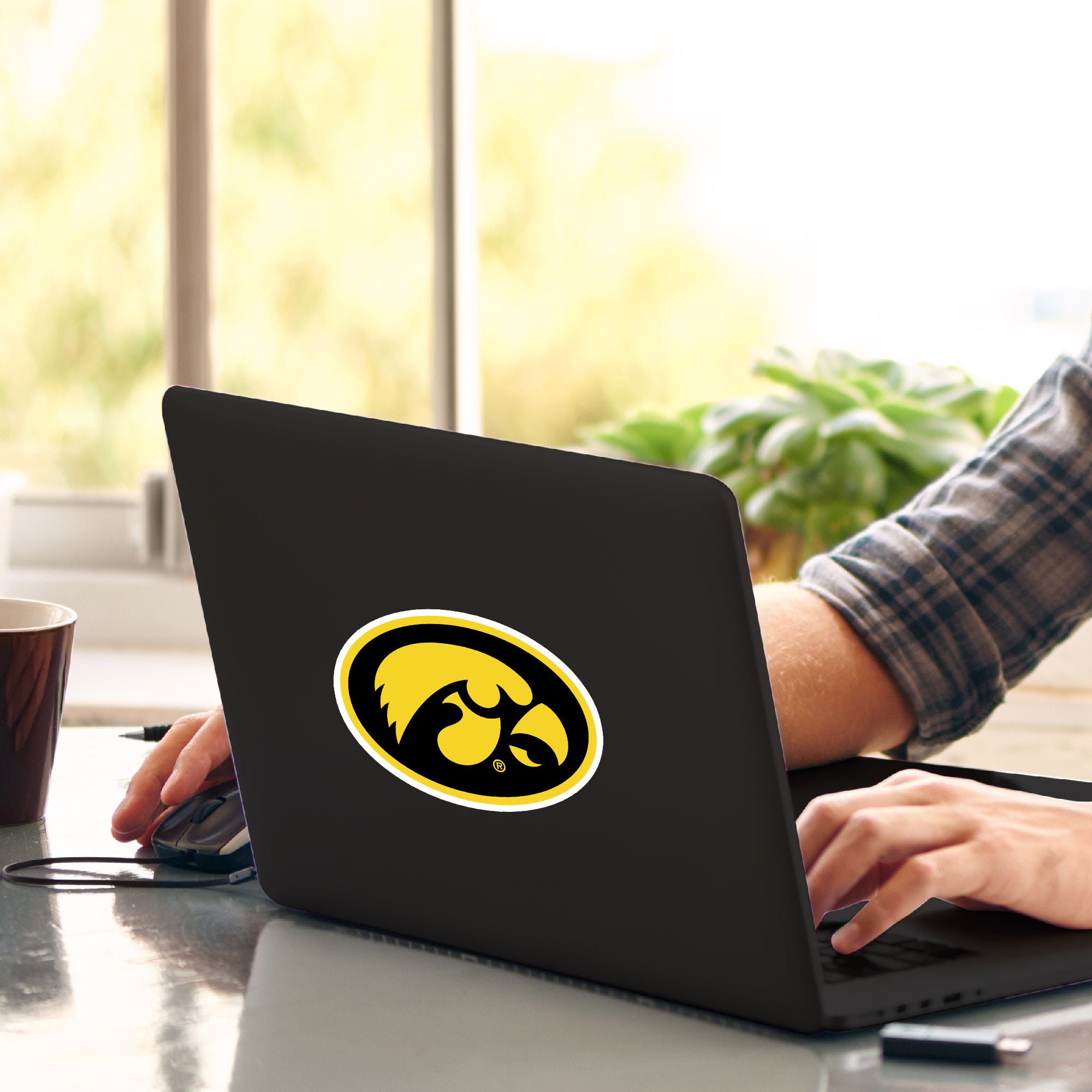 Iowa Hawkeyes Matte Decal Sticker