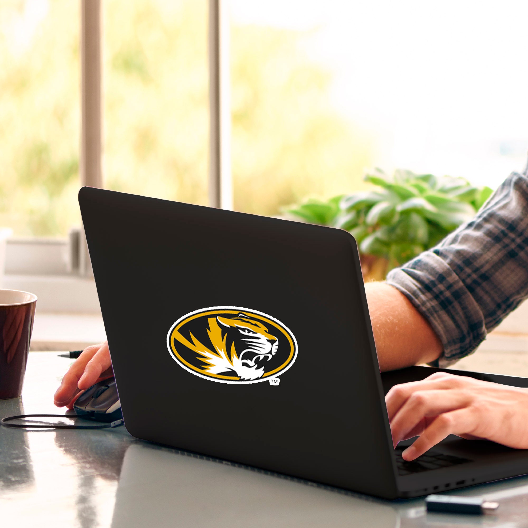 Missouri Tigers Matte Decal Sticker