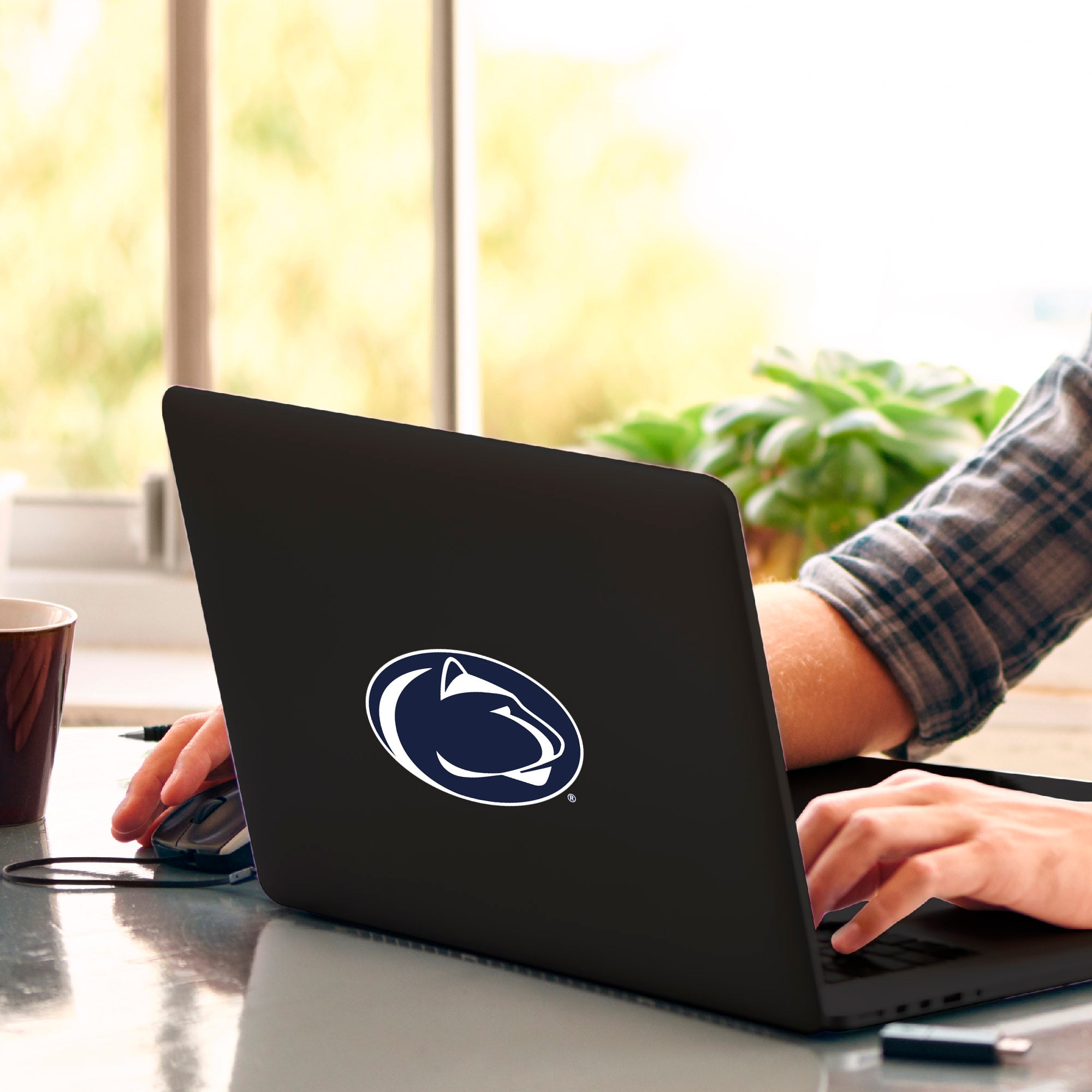 Penn State Nittany Lions Matte Decal Sticker