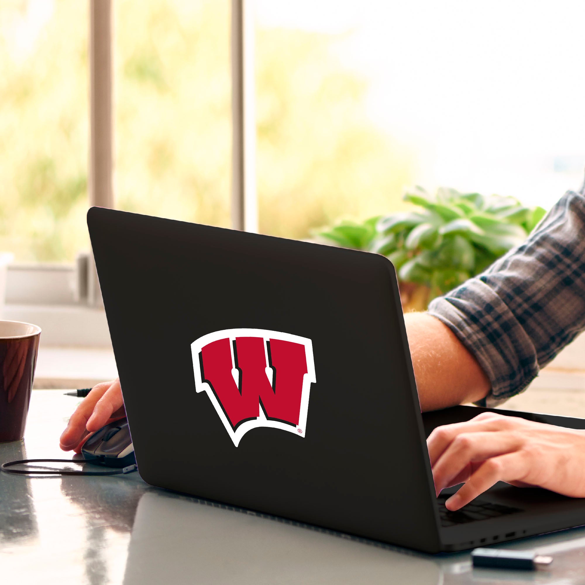 Wisconsin Badgers Matte Decal Sticker