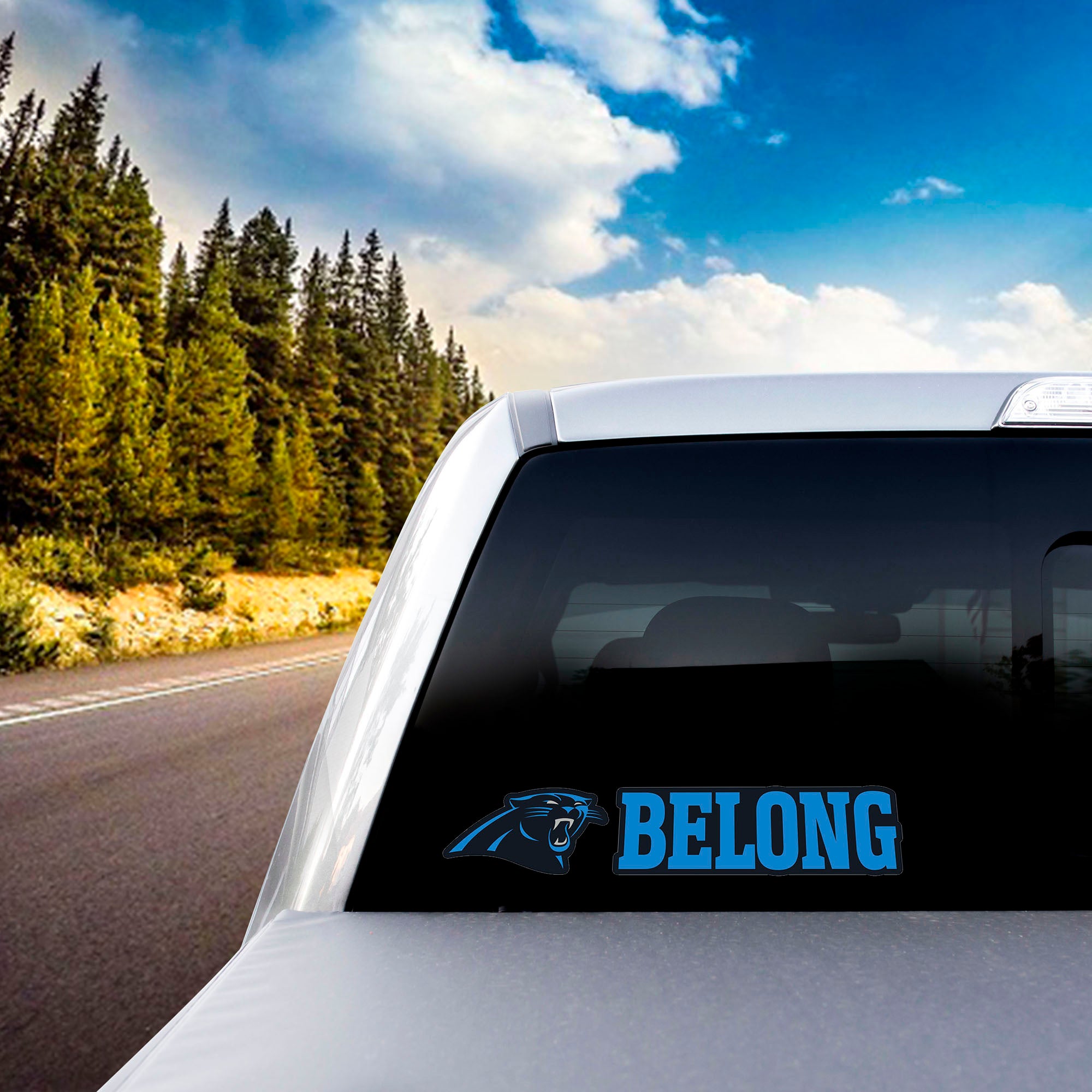 Carolina Panthers 2 Piece Team Slogan Decal Sticker Set