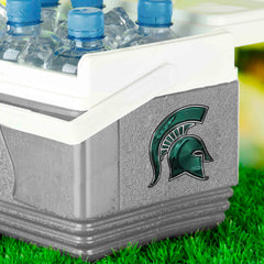 Michigan State Spartans 3D Decal Sticker