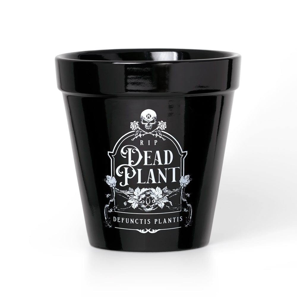 Alchemy Gothic Dead Plant Plant Pot - Alchemy Gothic