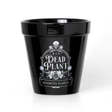 Alchemy Gothic Dead Plant Plant Pot - Alchemy Gothic