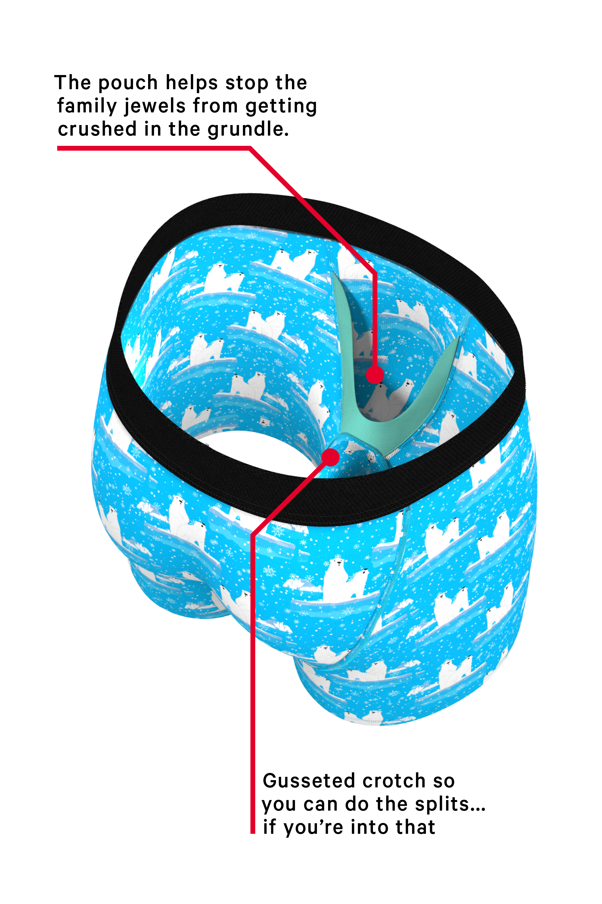 The Polar Plunge | Polar Bear Ball Hammock® Boxer and Cheeky Underwear Pack