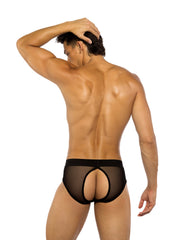 Roma Costume Sheer Peek-A-Boo Briefs