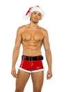 Roma Costume 2 Piece Sexy Santa