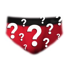 The Mystery | Surprise Ball Hammock® Pouch Underwear Briefs - Shinesty