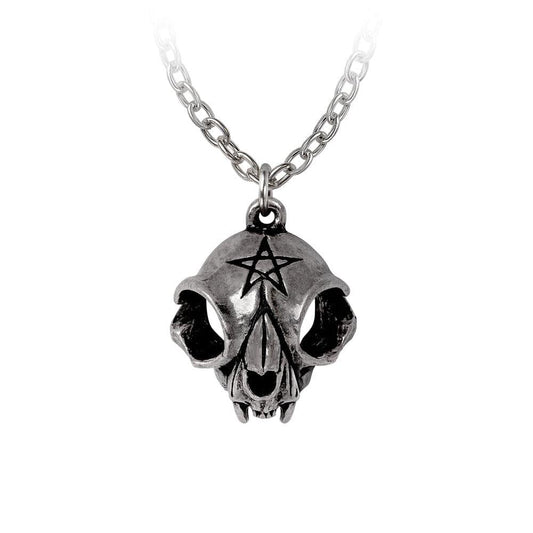 Alchemy Gothic My Forever Friend Pendant - Alchemy Gothic