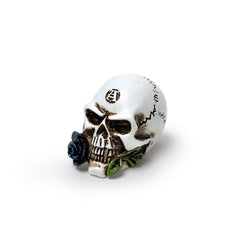 Alchemy Gothic Alchemist Skull Miniature