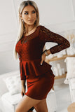 Lace Detail Long Sleeve Mini Dress - Flyclothing LLC