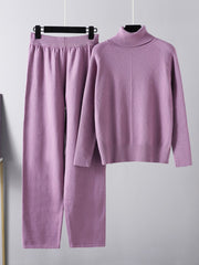 Basic Bae Turtleneck Raglan Sleeve Top and Pants Sweater Set - Trendsi