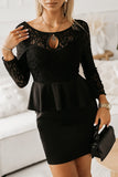 Lace Detail Long Sleeve Mini Dress - Flyclothing LLC