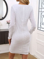 Lace Detail Round Neck Long Sleeve Mini Dress - Trendsi