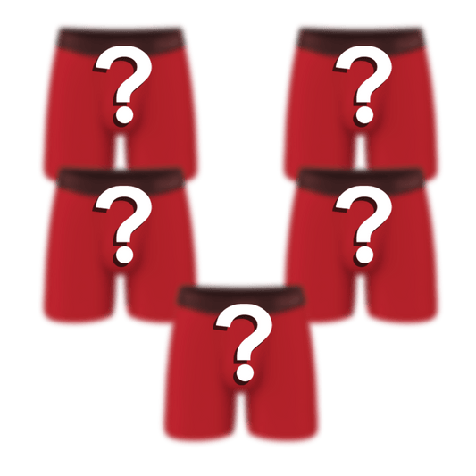 The Mystery Bundle | Ball Hammock® Pouch Boxer Briefs with Fly 5 Pack - Shinesty