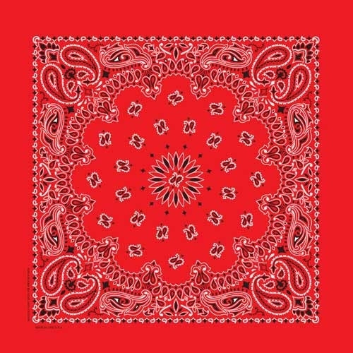 NT4401 Bandana Paisley Red Daniel Smart Manufacturing