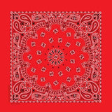 NT4401 Bandana Paisley Red Daniel Smart Manufacturing